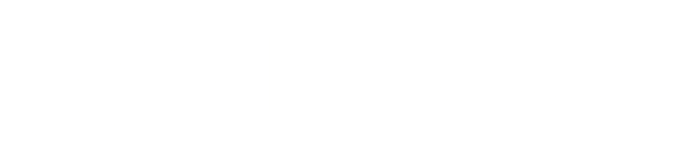 Deepseek Logo White XYZ SPACED